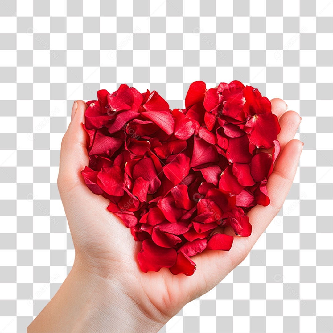 Elemento 3D Flores Rosas PNG Transparente