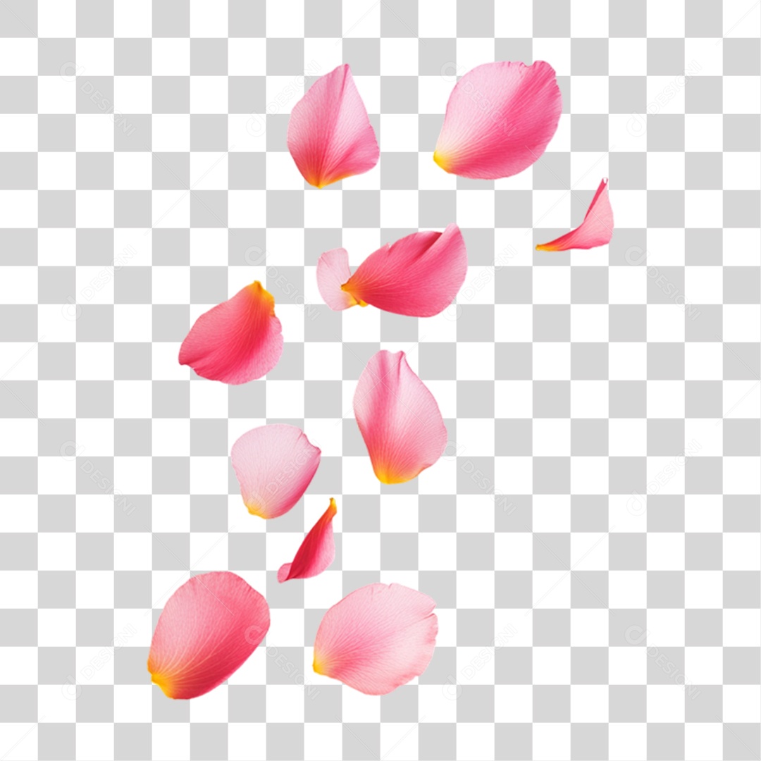 Elemento 3D Flores Rosas Pétalas PNG Transparente