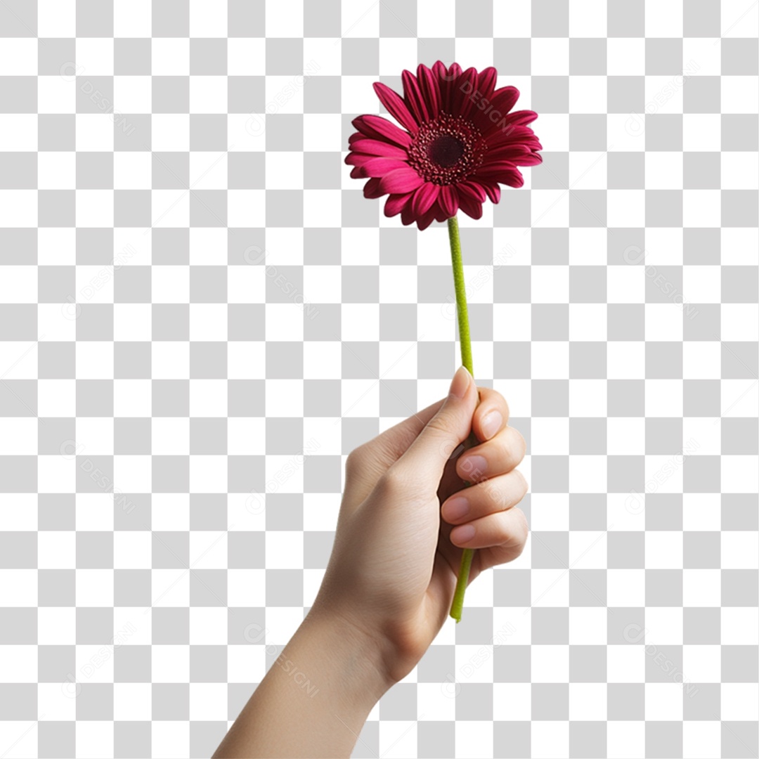 Elemento 3D Flores Rosas PNG Transparente