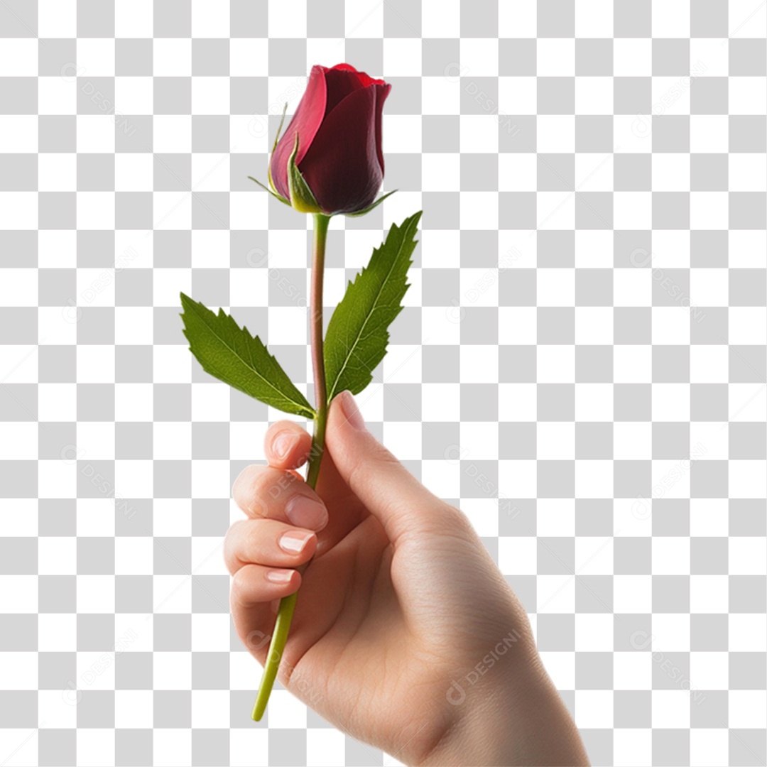 Elemento 3D Flores Rosas PNG Transparente