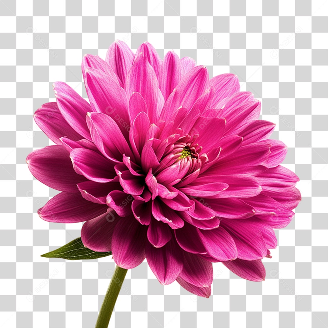 Elemento 3D Flores Rosas PNG Transparente