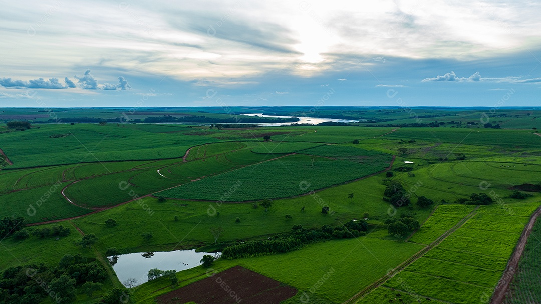Exuberantes plantações verdes com o rio tietê ao fundo