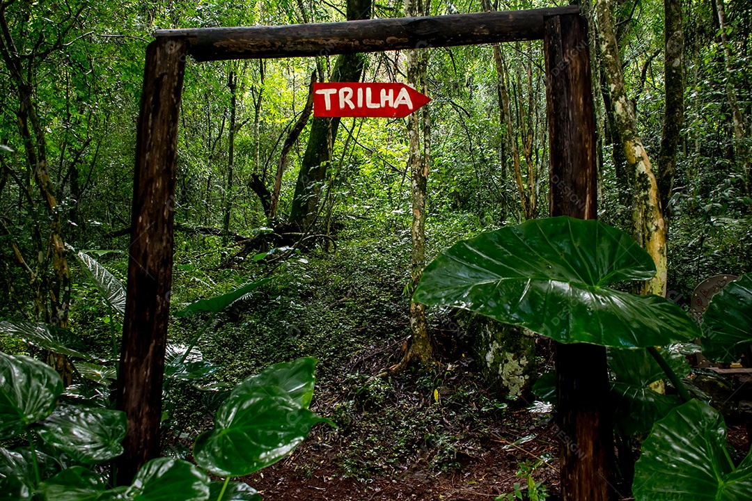 Sinal de início de trilha na floresta