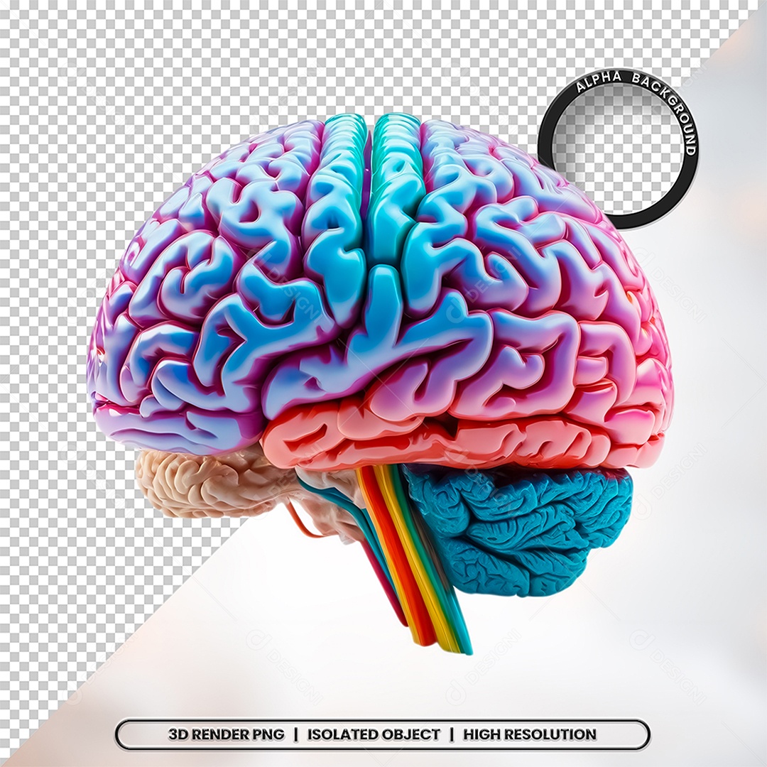 Elemento 3D Cerebro Para Composição PSD