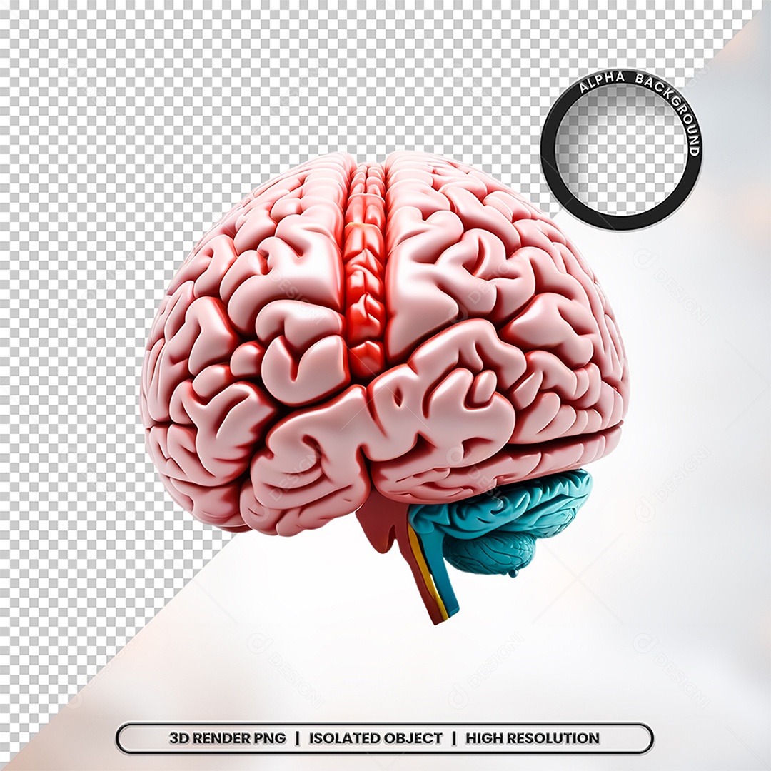 Elemento 3D Cerebro Para Composição PSD