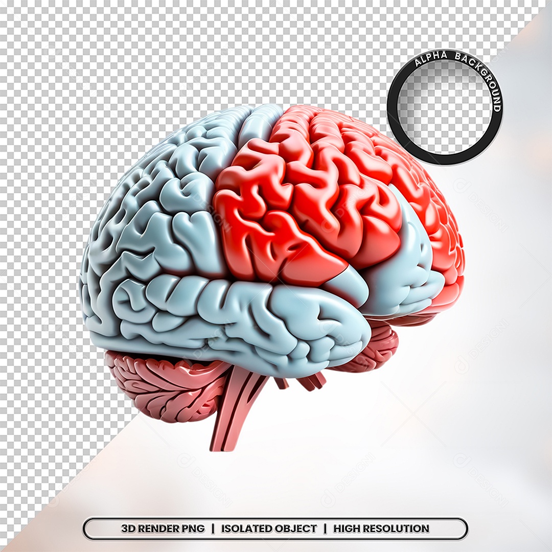 Elemento 3D Cerebro Para Composição PSD
