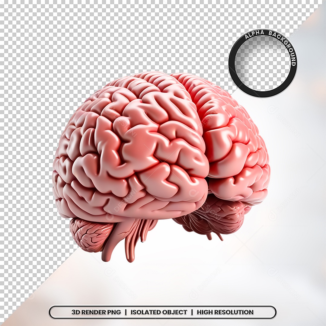 Elemento 3D Cerebro Para Composição PSD