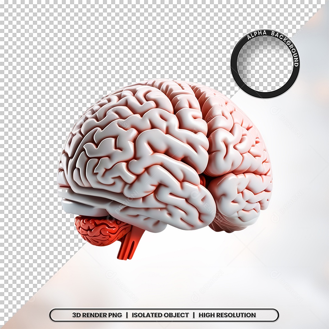 Elemento 3D Cerebro Colorido Para Composição PSD