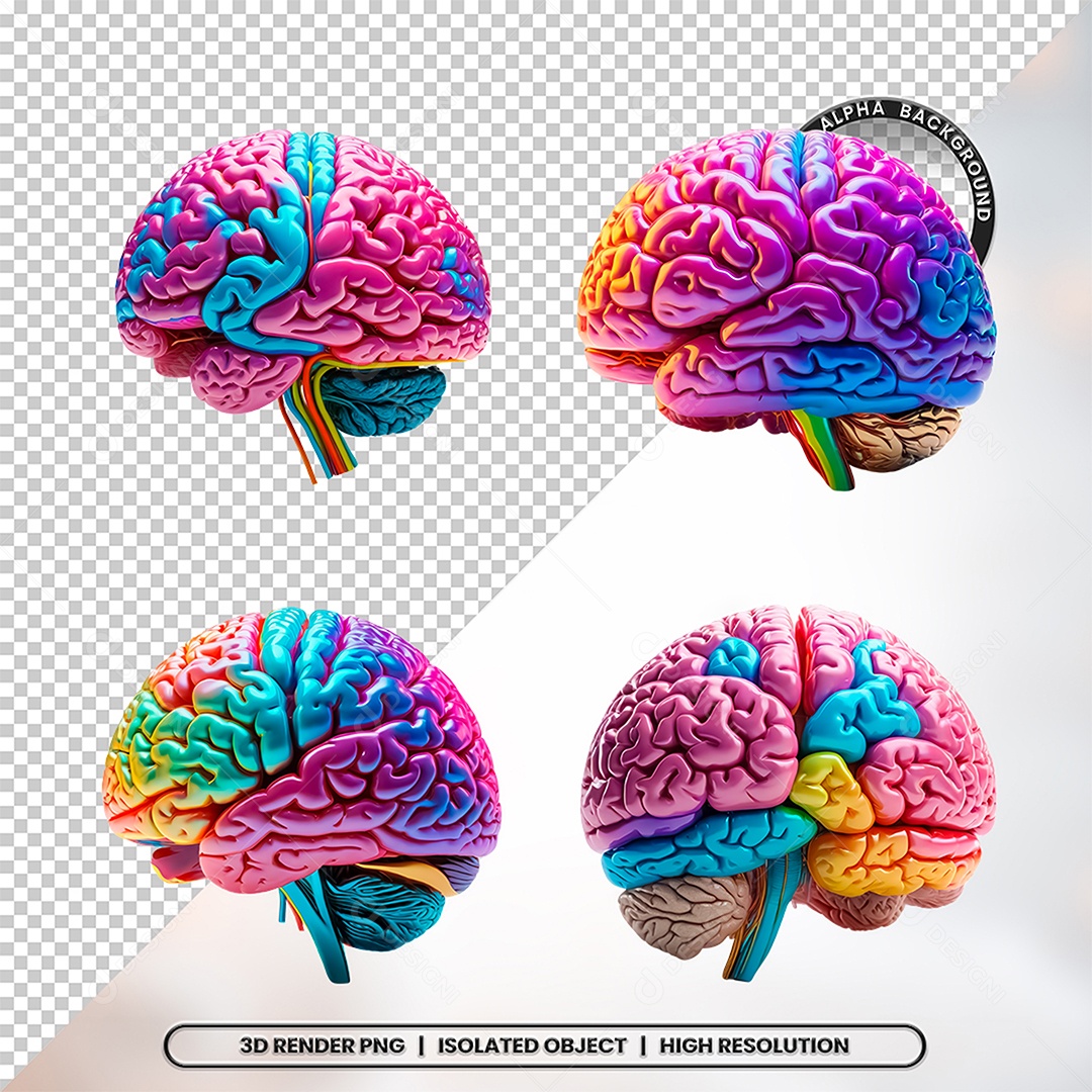 Elemento 3D Cerebro Colorido Para Composição PSD