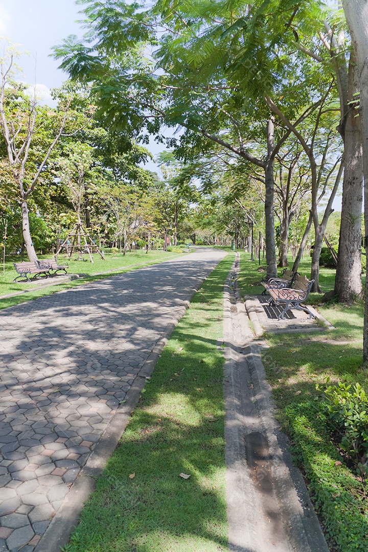 lindo caminho de parque ao redor de árvores