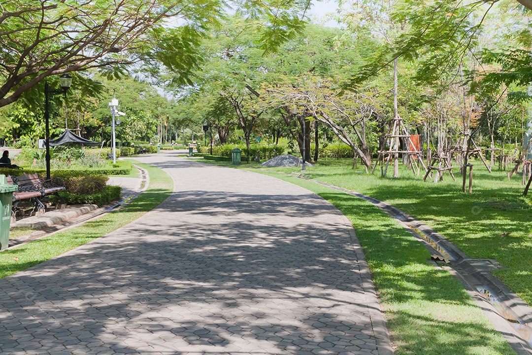 lindo caminho de parque ao redor de árvores