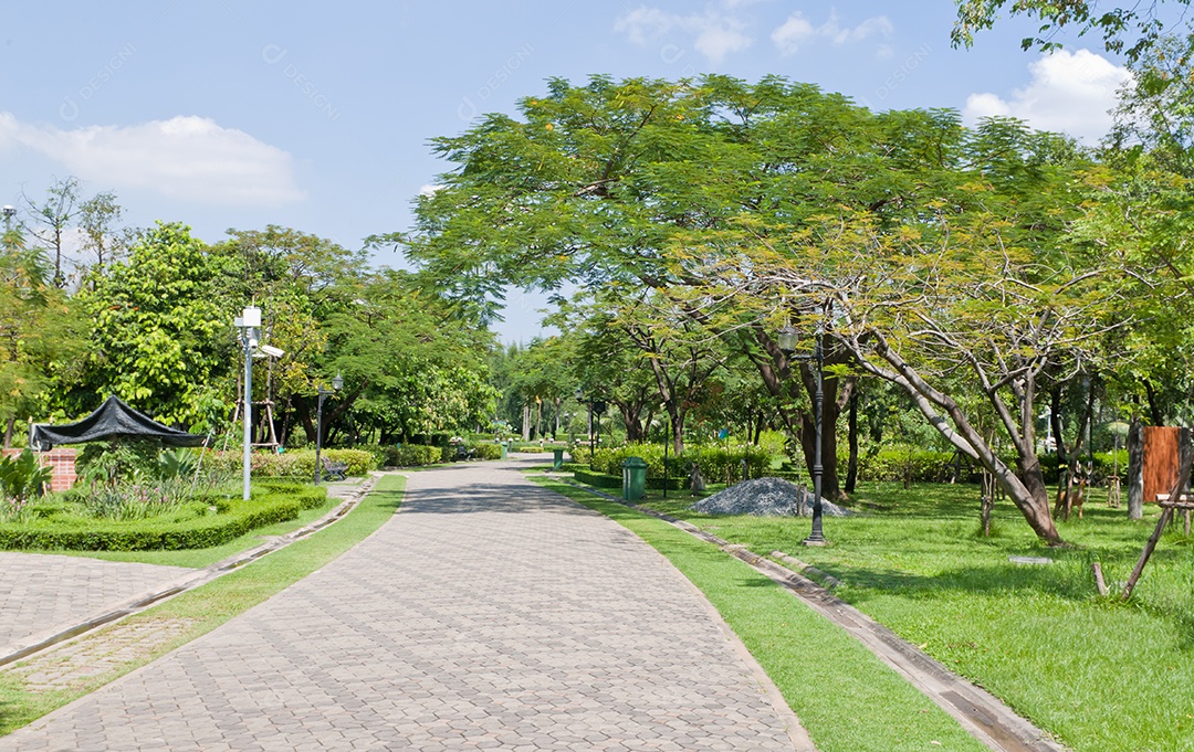 lindo caminho de parque ao redor de árvores