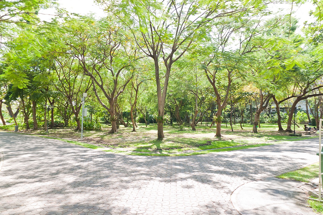 Lindo caminho de parque público