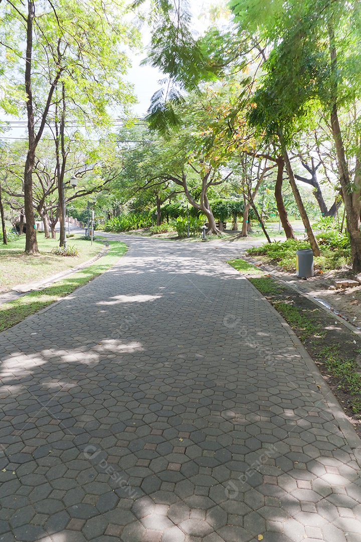 Lindo caminho de parque público
