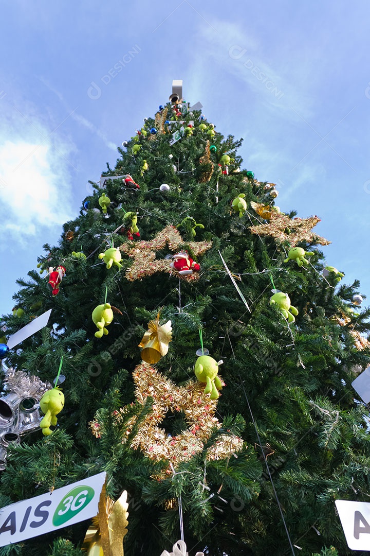 Pinheiro decorado para o natal sobre ar livre