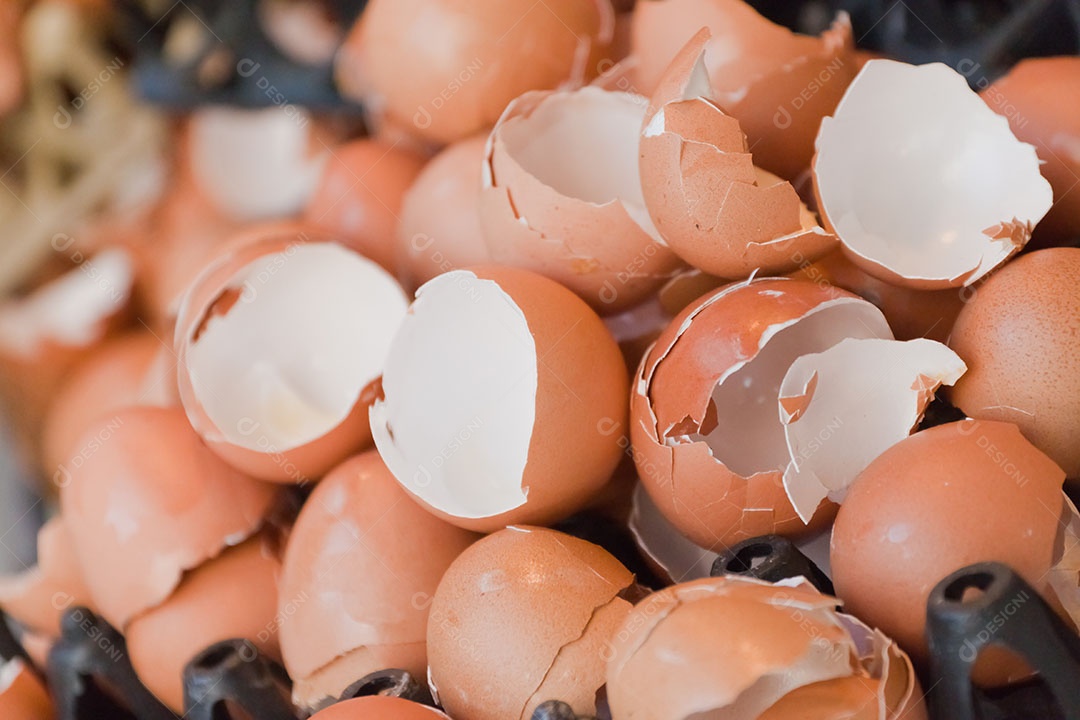 Casca de ovos quebradas em migalhas sobre fundo desfocado