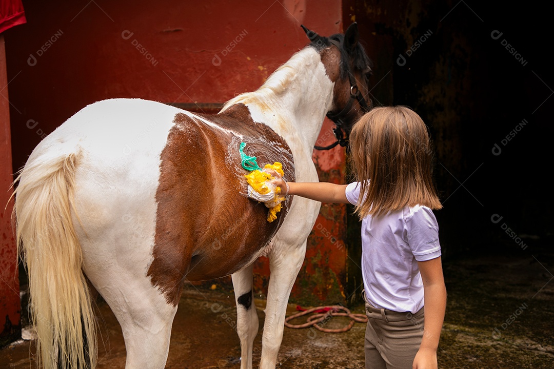 Garota linda dando banho em um cavalo sobre uma fazenda