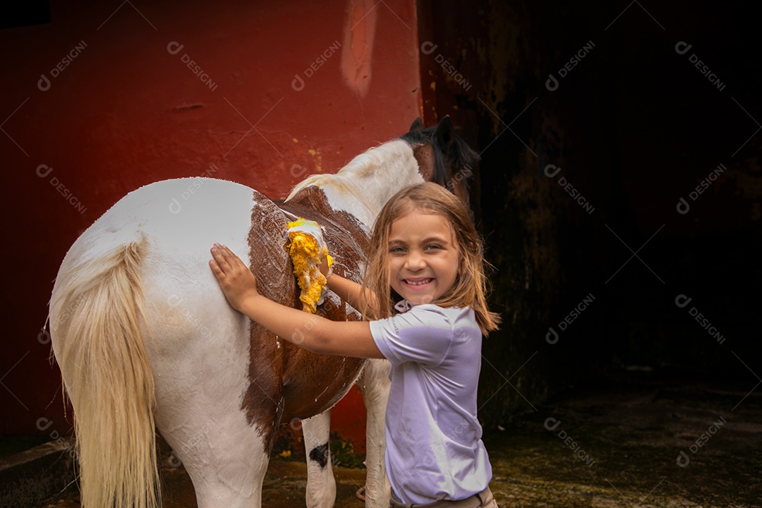 Garota linda dando banho em um cavalo sobre uma fazenda