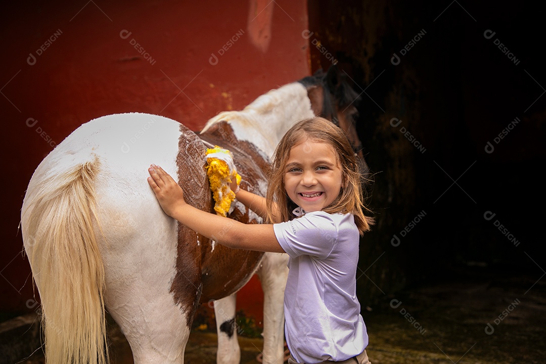 Garota linda dando banho em um cavalo sobre uma fazenda