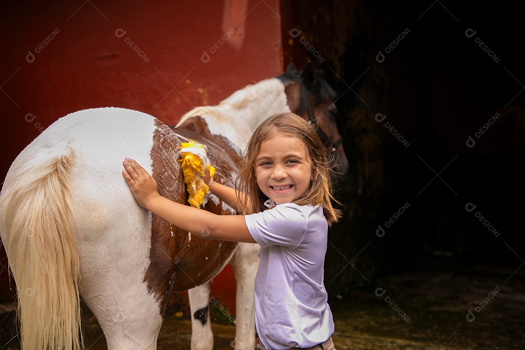 Garota linda dando banho em um cavalo sobre uma fazenda