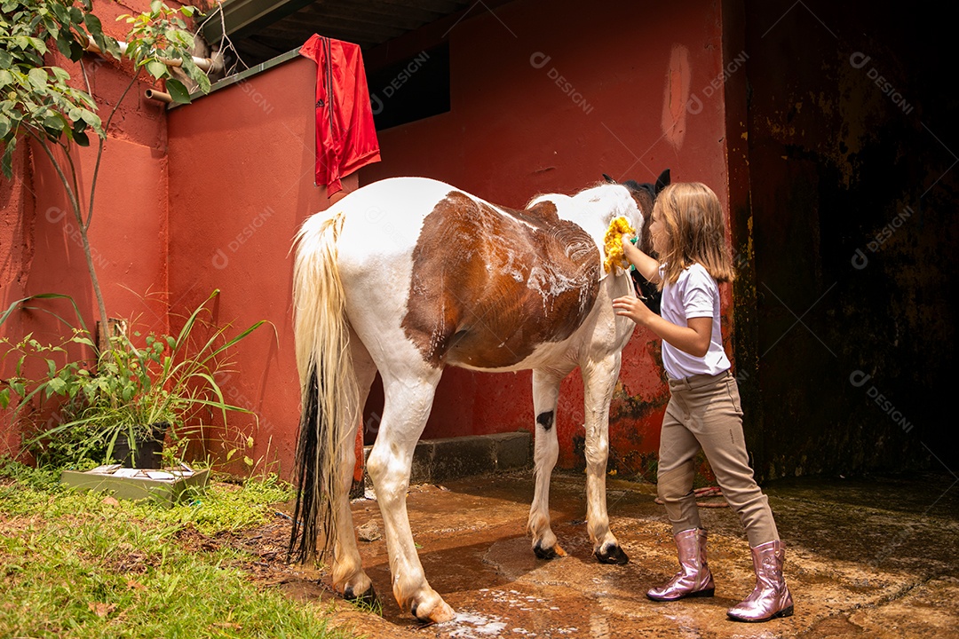 Garota linda dando banho em um cavalo sobre uma fazenda
