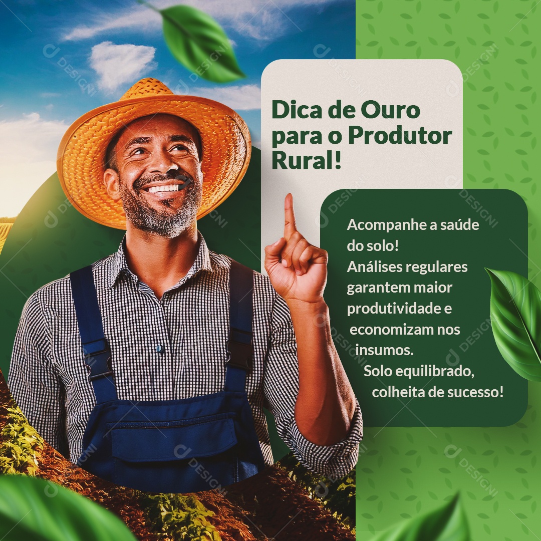 Feed Agro Dica de Ouro para o Produtor Rural Social Media PSD Editável