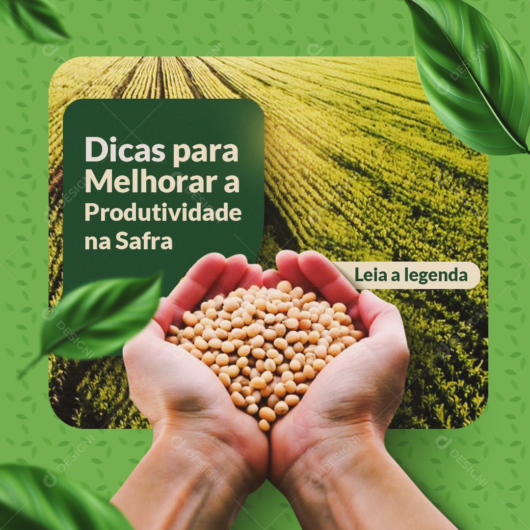 Feed Agro Dicas para Melhorar a Produtividade Social Media PSD Editável