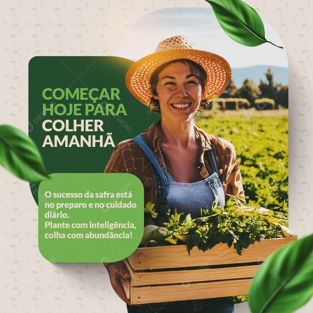 Feed Agro Começar Hoje Para Colher Amanhã Social Media PSD Editável