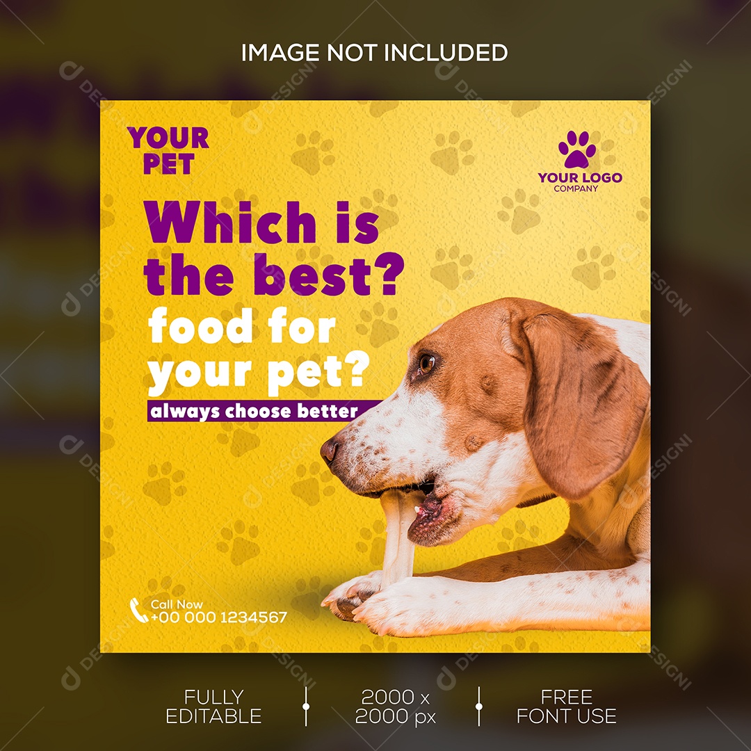 Feed Petshop Qual é a Melhor Comida Para Seu Pet Social Media PSD Editável