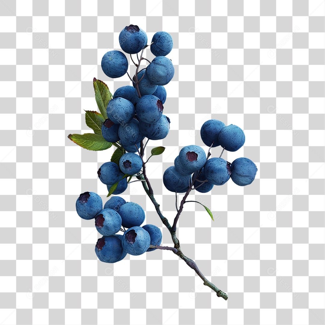 Ramo de Mirtilos Azuis em Estilo Realista Fruta Formato PNG Transparente