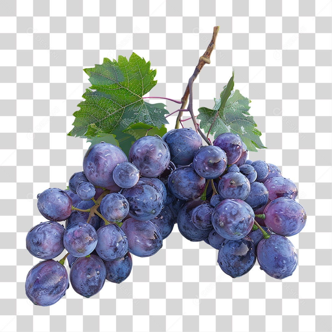 Cacho de Uvas Roxas Frescas em Estilo Realista Fruta Formato PNG Transparente