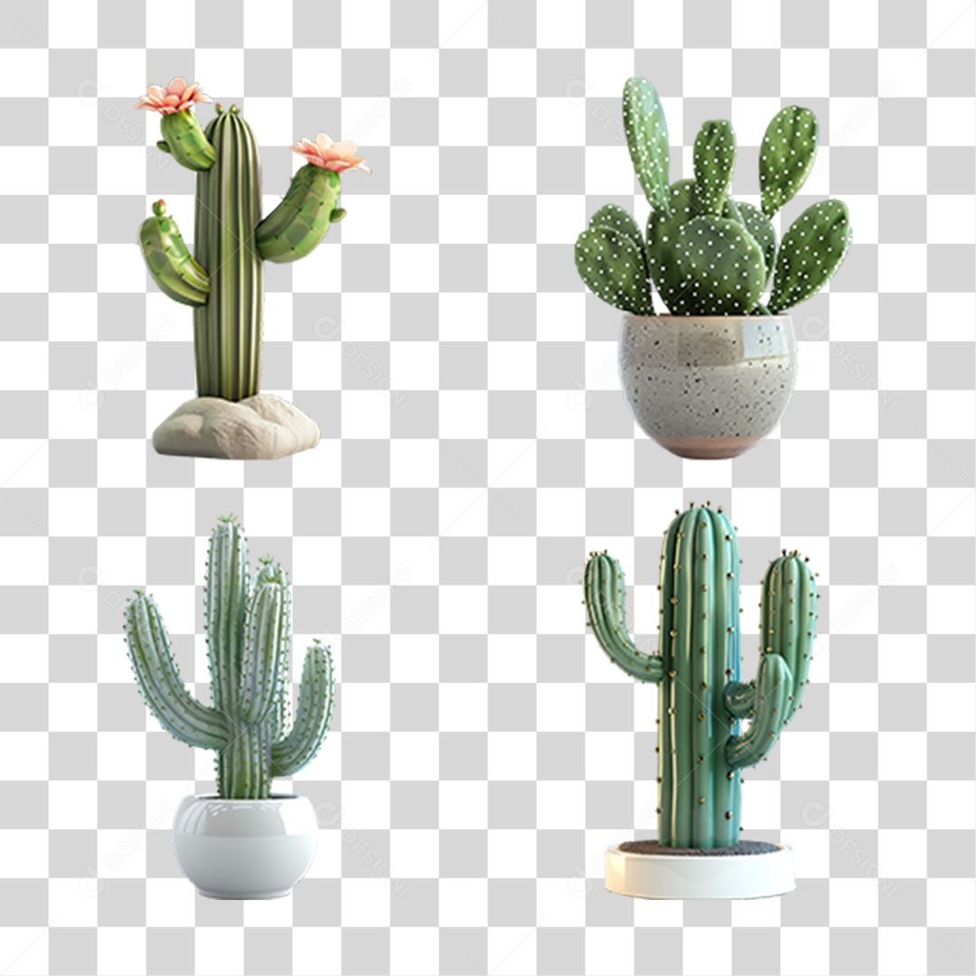 Vasos Decorativos com Cactos Verdes em Estilo Realista Formato PNG Transparente