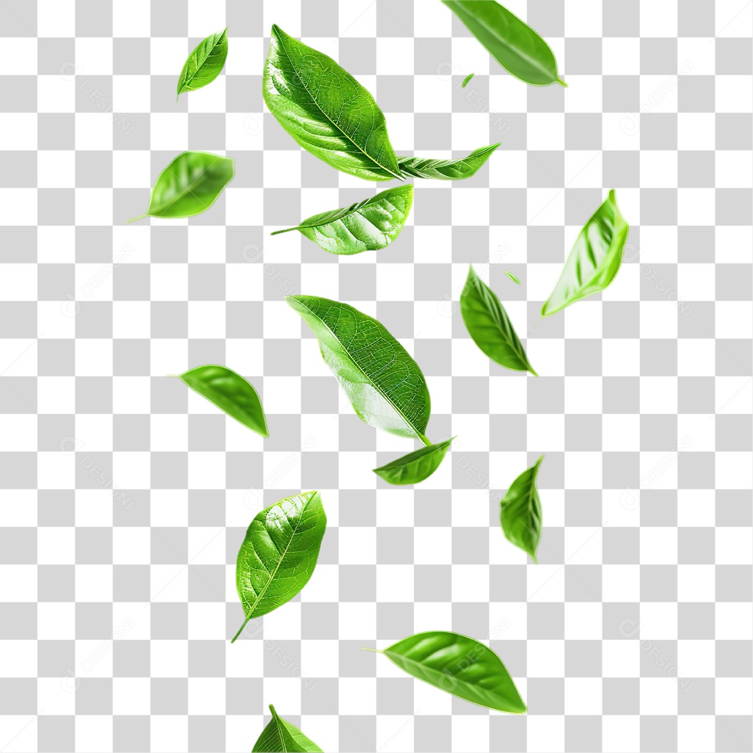 Conjunto de Folhas Verdes Soltas em Estilo Realista Formato PNG Transparente