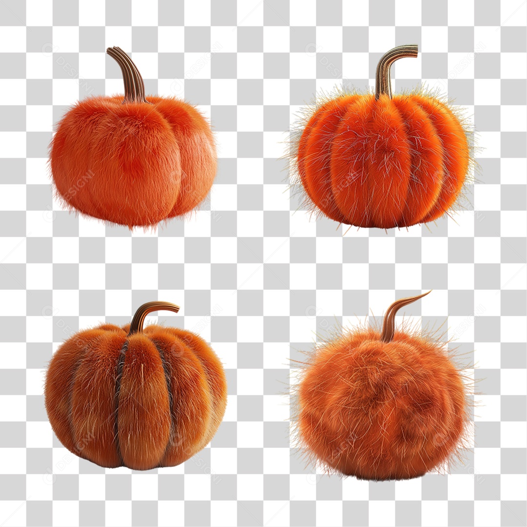 Conjunto de Abóboras Médias Laranja em Estilo Realista Formato PNG Transparente