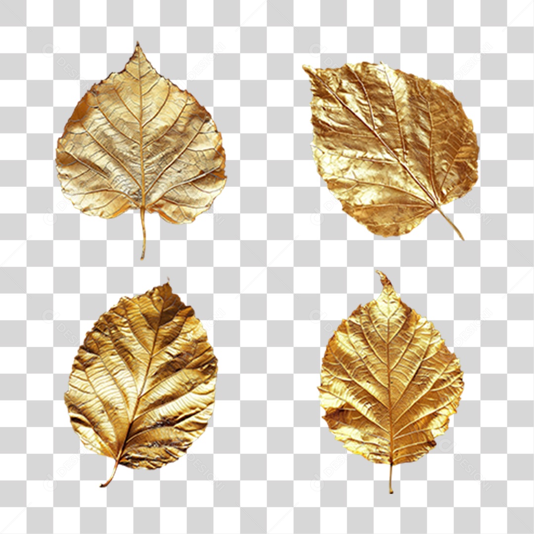 Conjunto de Folhas Douradas em Estilo Realista Decorativas Formato PNG Transparente
