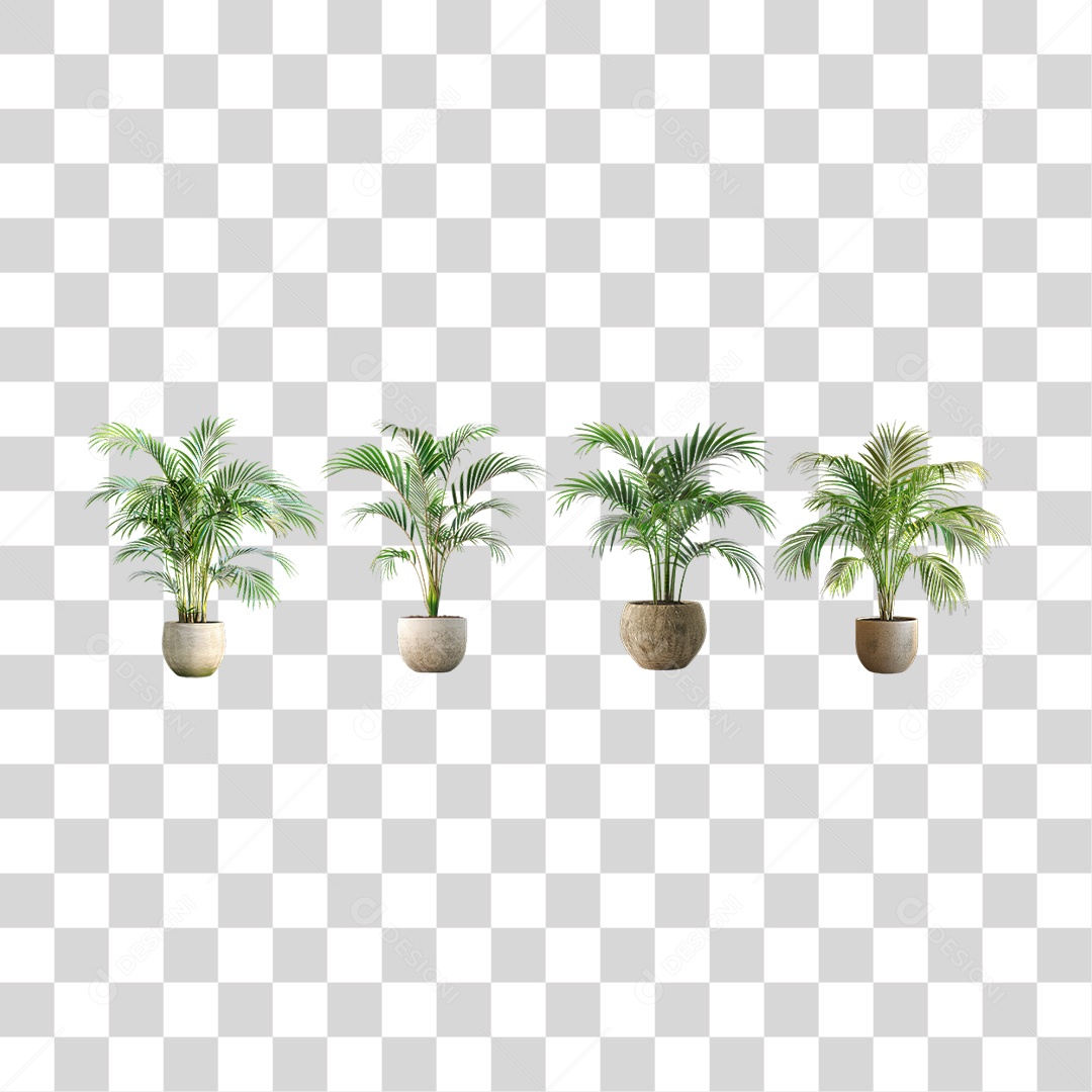 Conjunto de Pequenas Palmeiras Tropicais em Estilo Realista Formato PNG Transparente