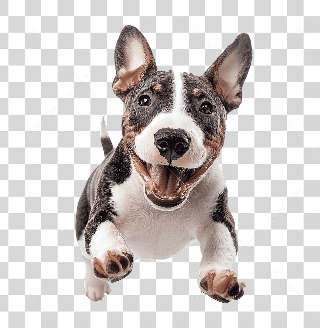 Pet Pet Pet Pet Dog PNG Transparent