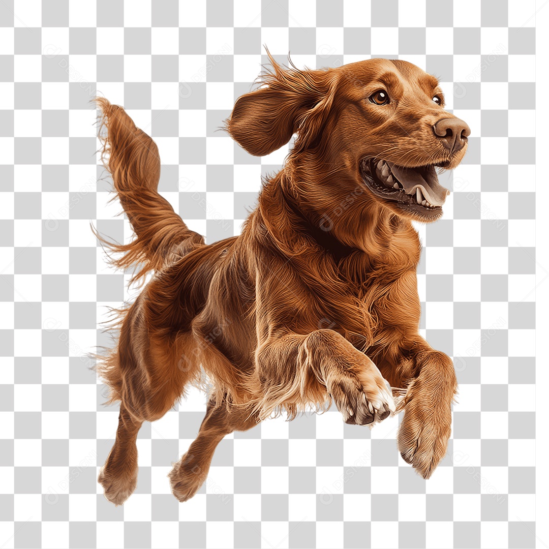 Pet Animal de Estimação Cachorro PNG Transparente