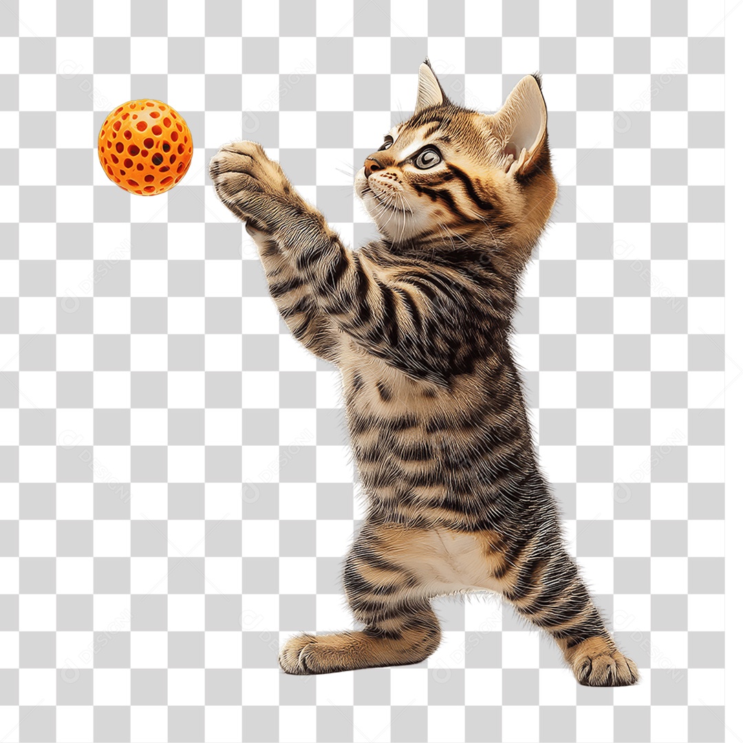 Pet Animal de Estimação Gato PNG Transparente