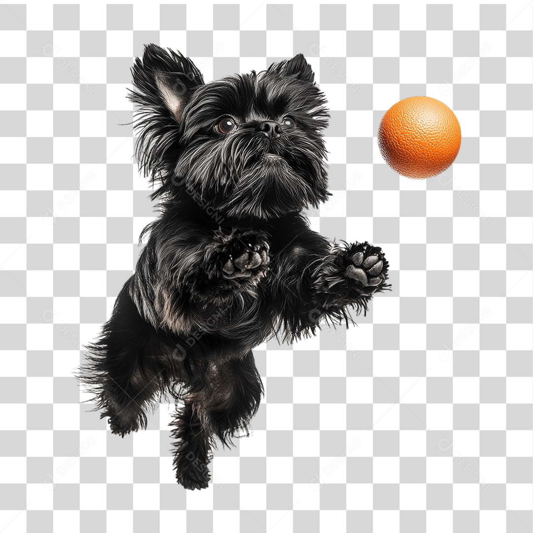 Pet Animal de Estimação Cachorro PNG Transparente