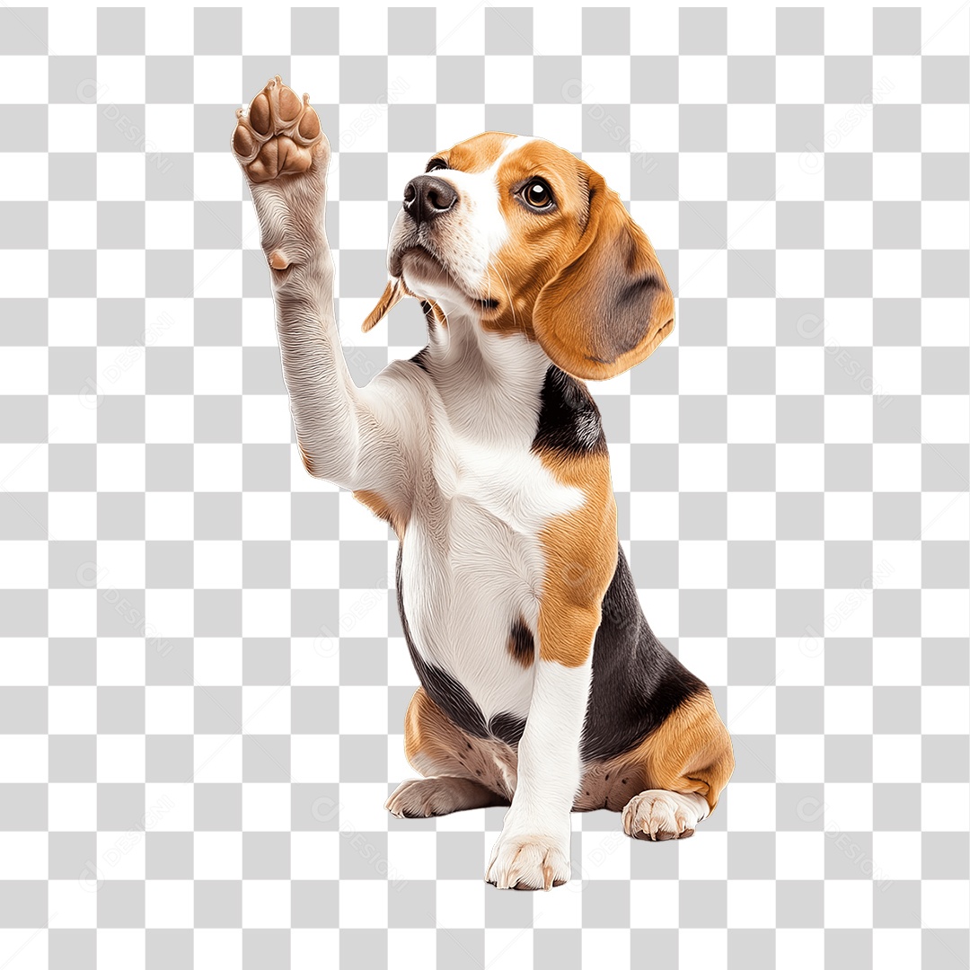 Pet Animal de Estimação Cachorro PNG Transparente