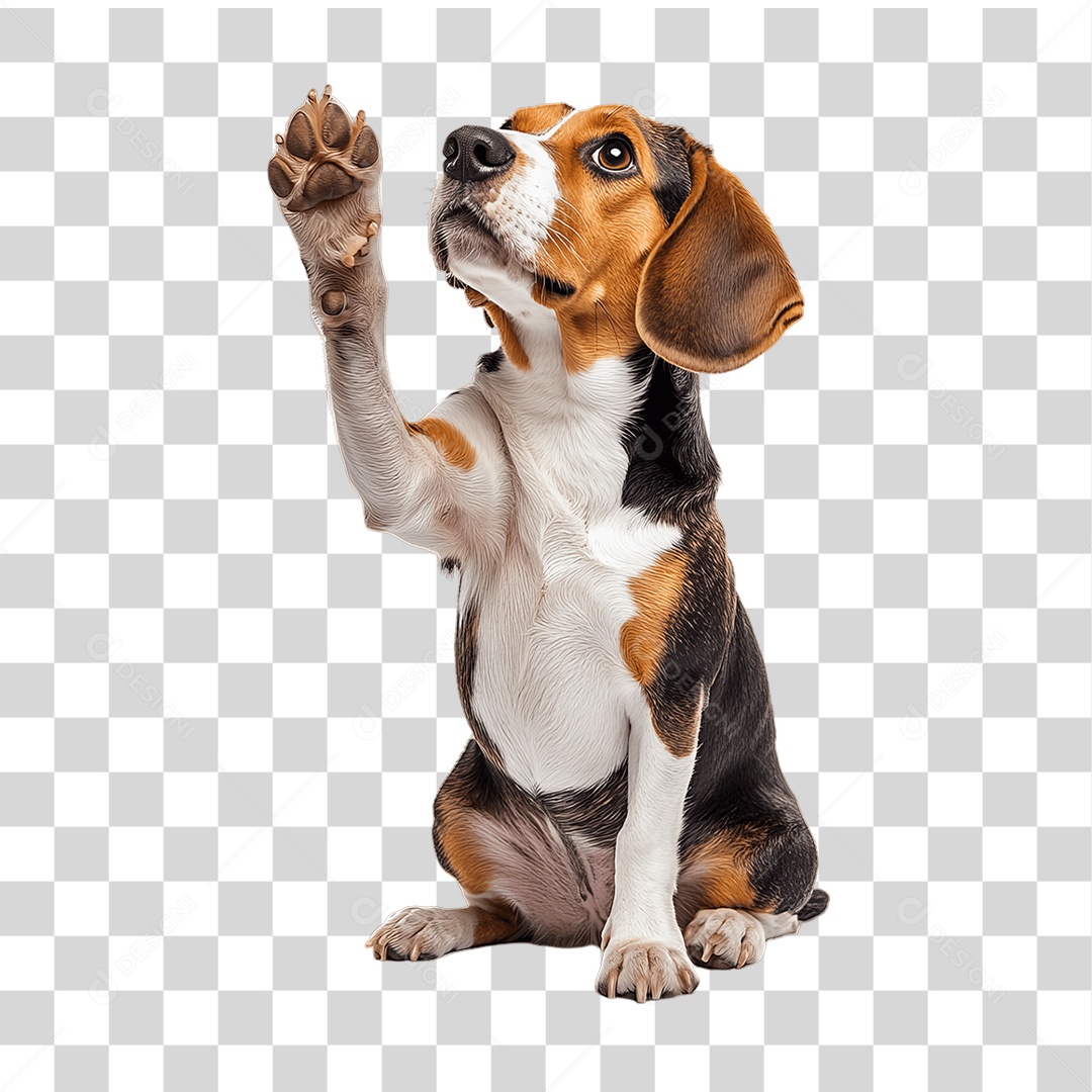 Pet Animal de Estimação Cachorro PNG Transparente