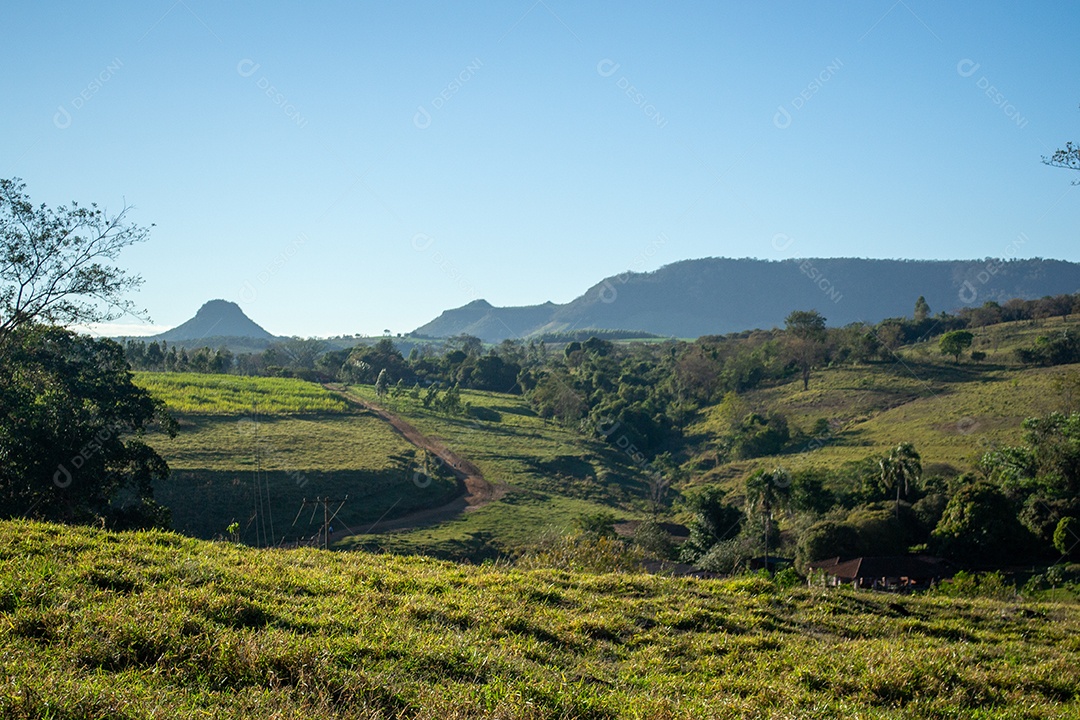 Estrada de chão em uma fazenda de campos verdes