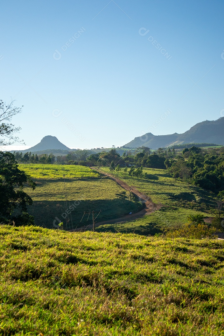 Estrada de chão em uma fazenda de campos verdes