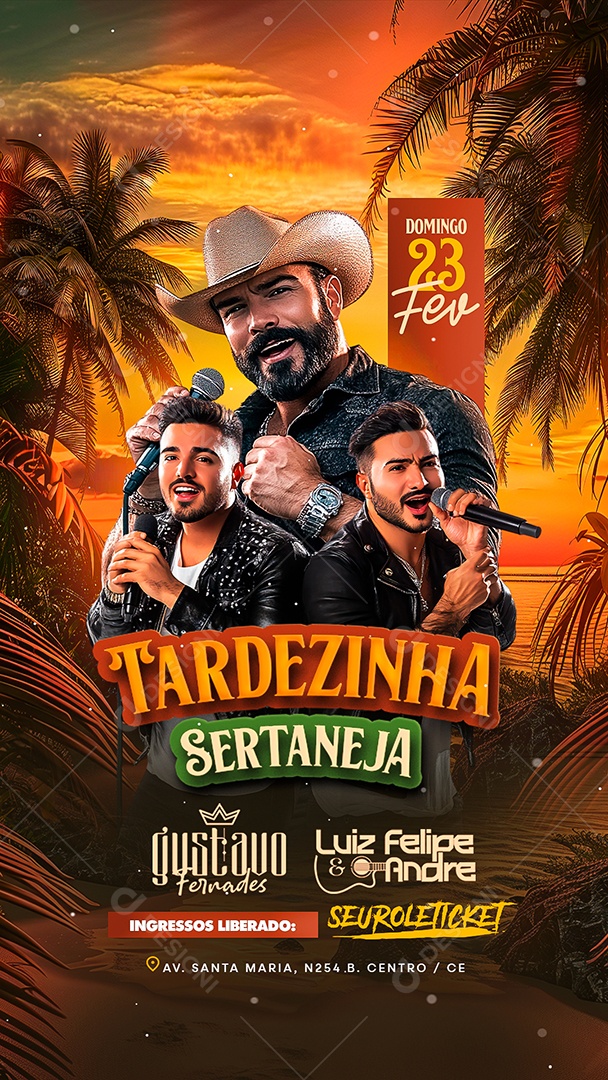 Story Flyer Tardezinha Sertaneja Social Media PSD Editável
