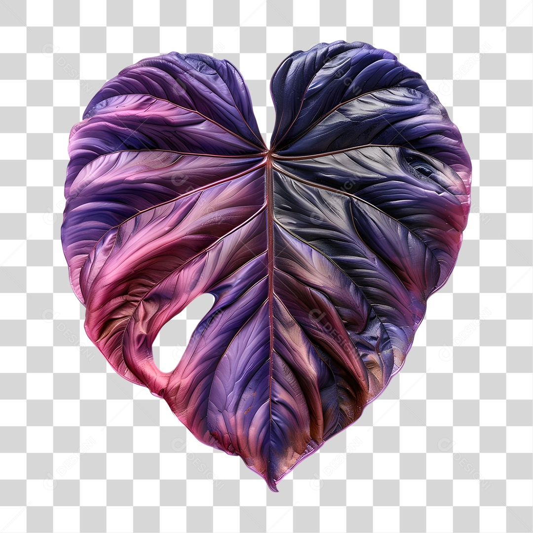 Folha PNG Transparente