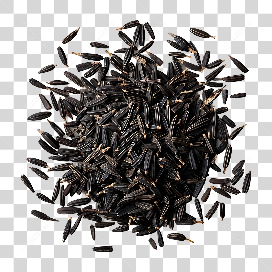 Sementes Grãos PNG Transparente