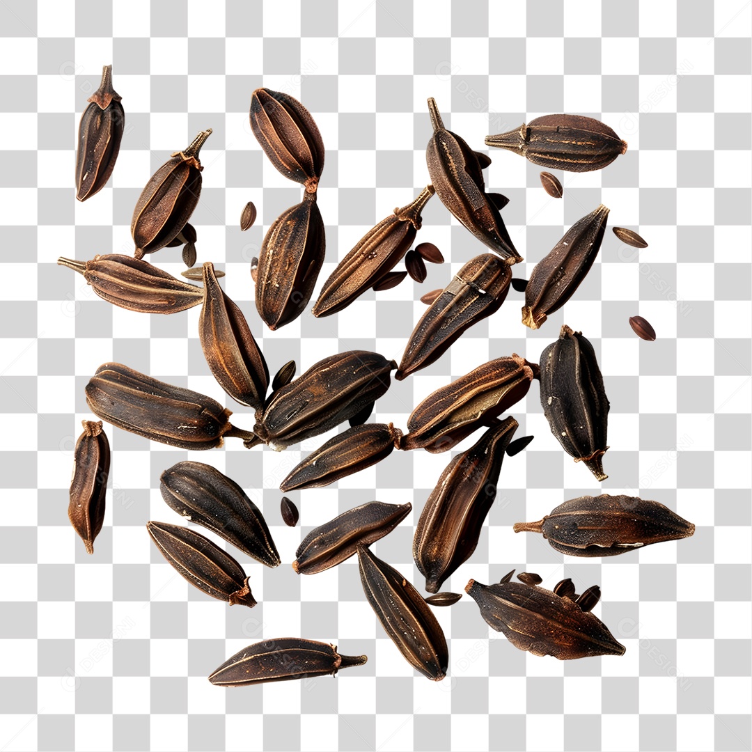 Sementes Grãos PNG Transparente