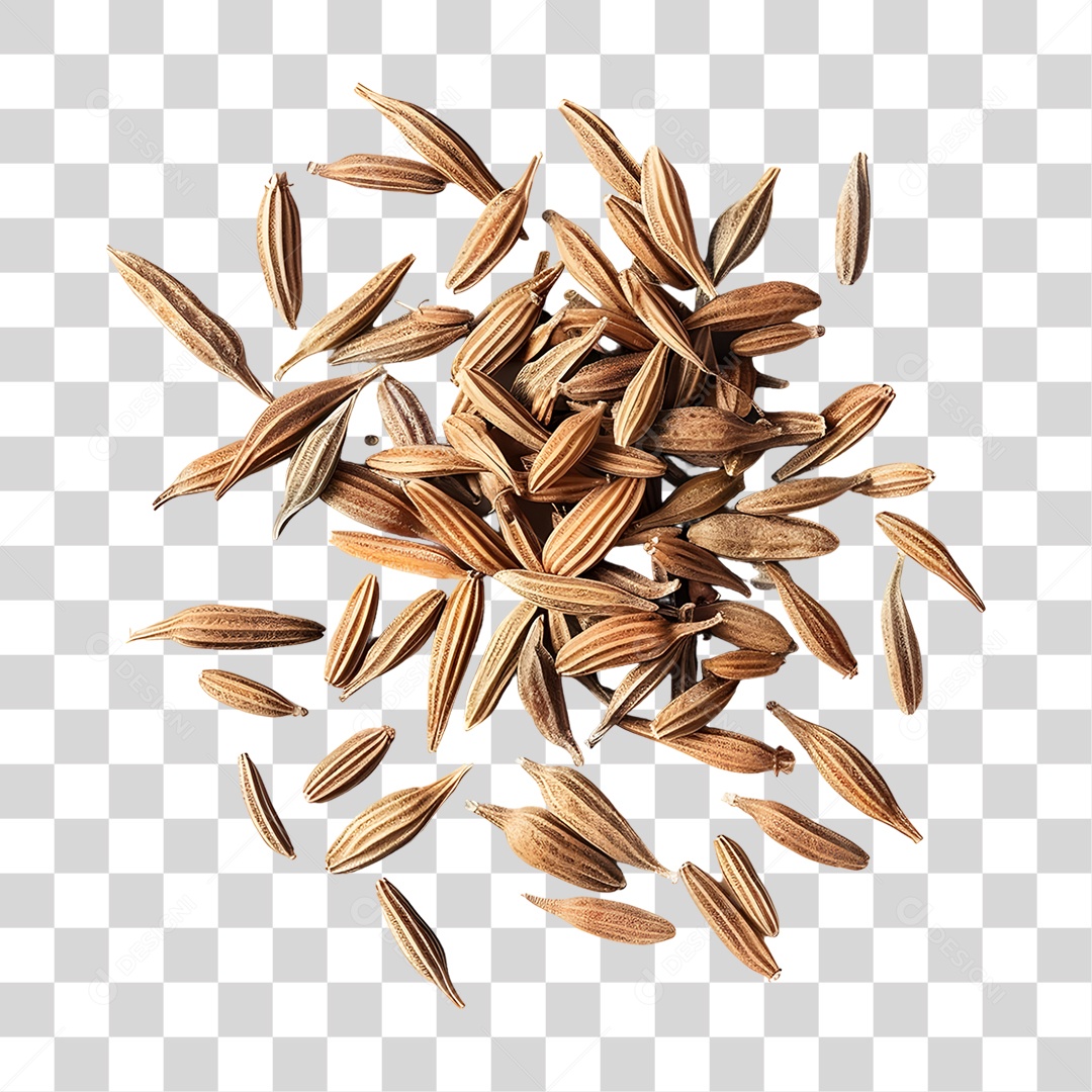 Sementes Grãos PNG Transparente