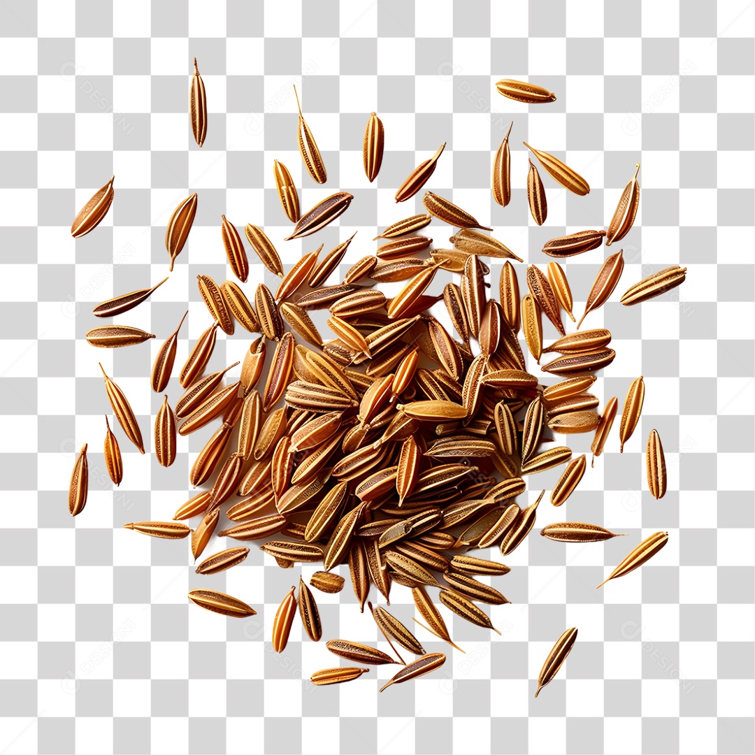 Sementes Grãos PNG Transparente